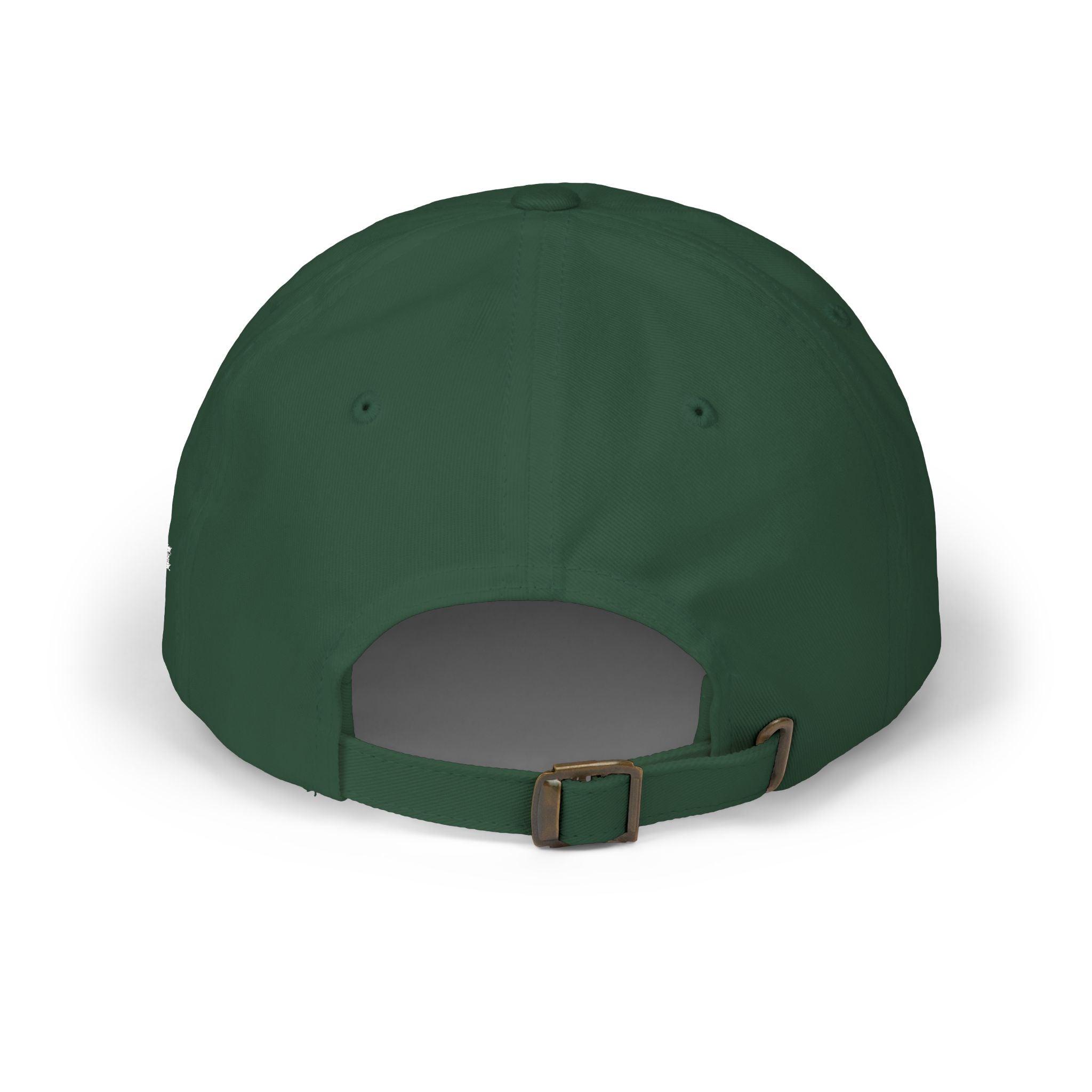 ROI Dad Cap — PHILLYDTC Classic Baseball Hat for DTC & Shopify Sellers
